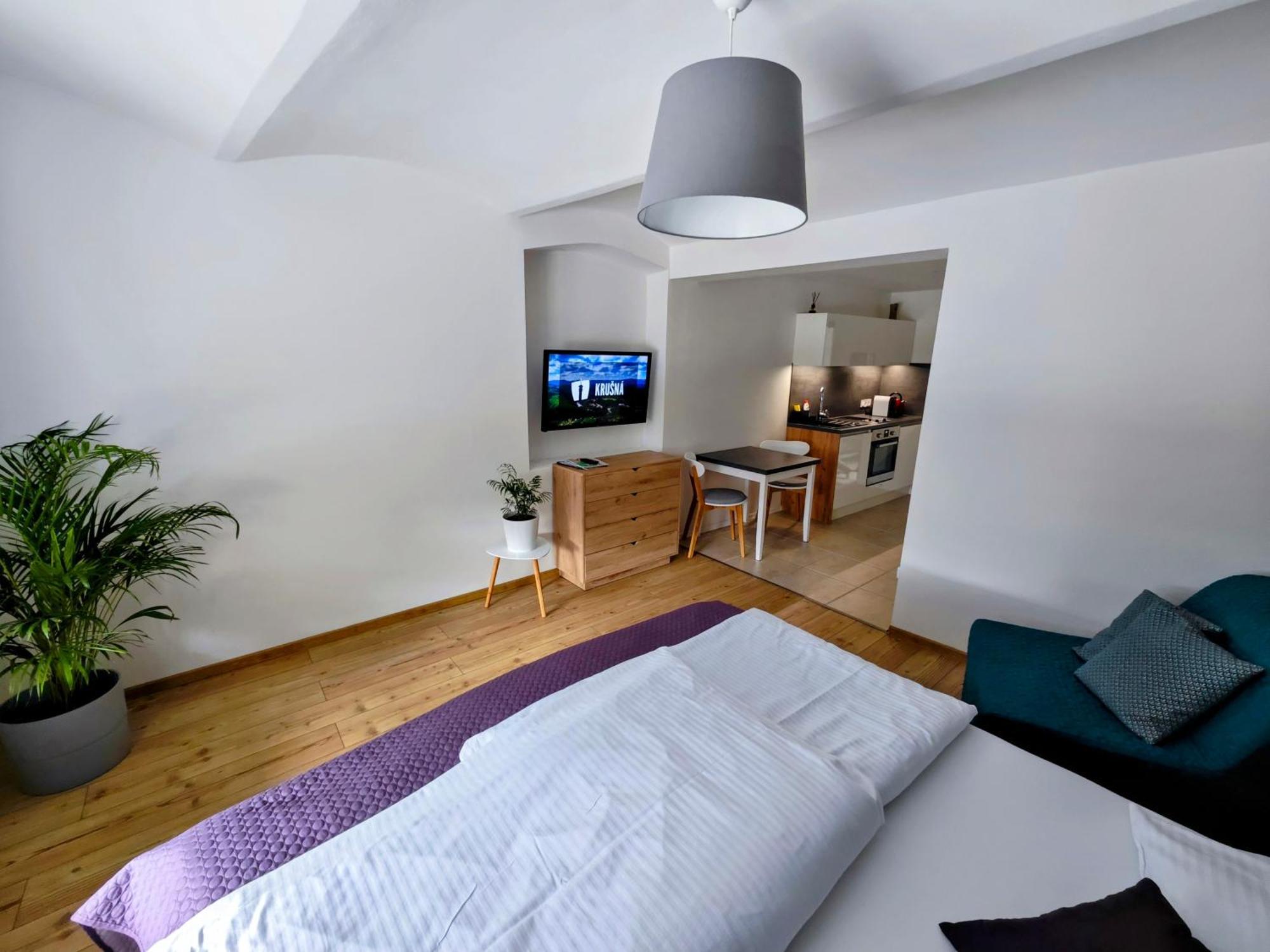 Apartmany 91 Boží Dar Cameră foto